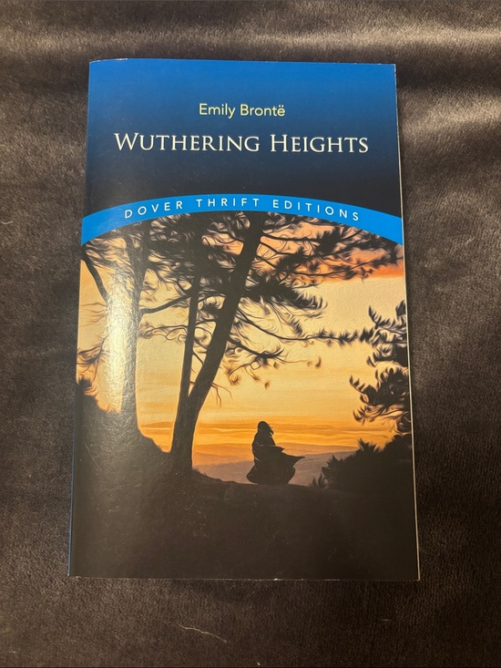 Other - emily brontes wuthering heights